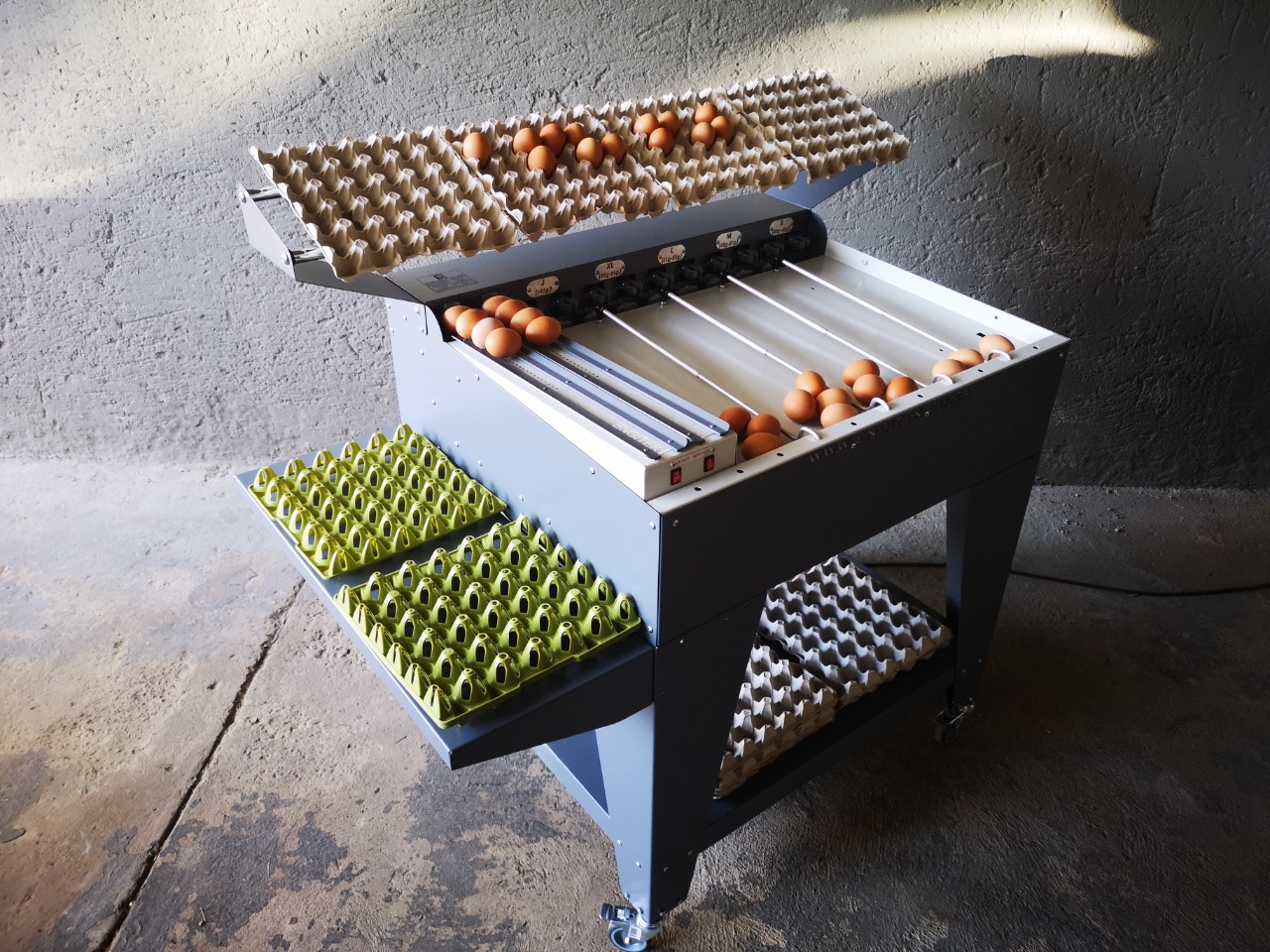 Chickens - Egg grading machine and egg washer
