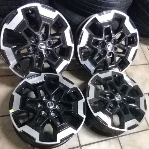 Navarra MAG RIMS