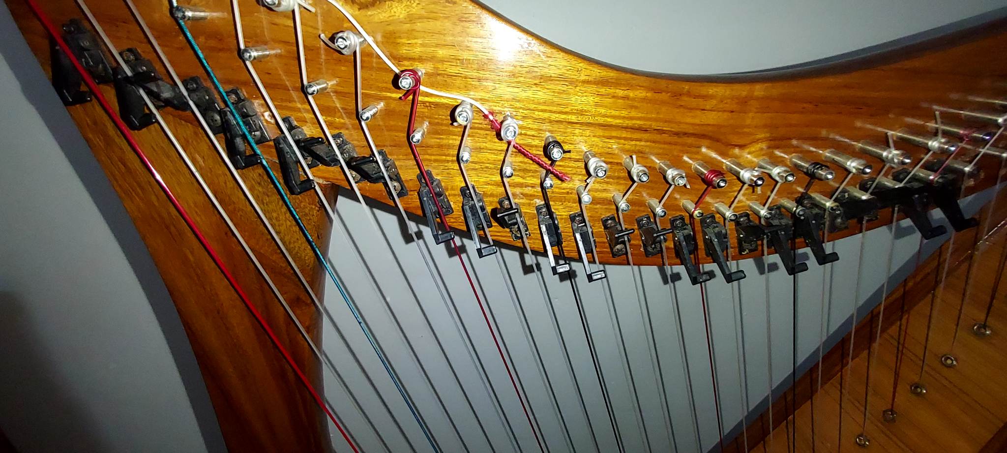 Harp To Rent | Junk Mail Marketplace