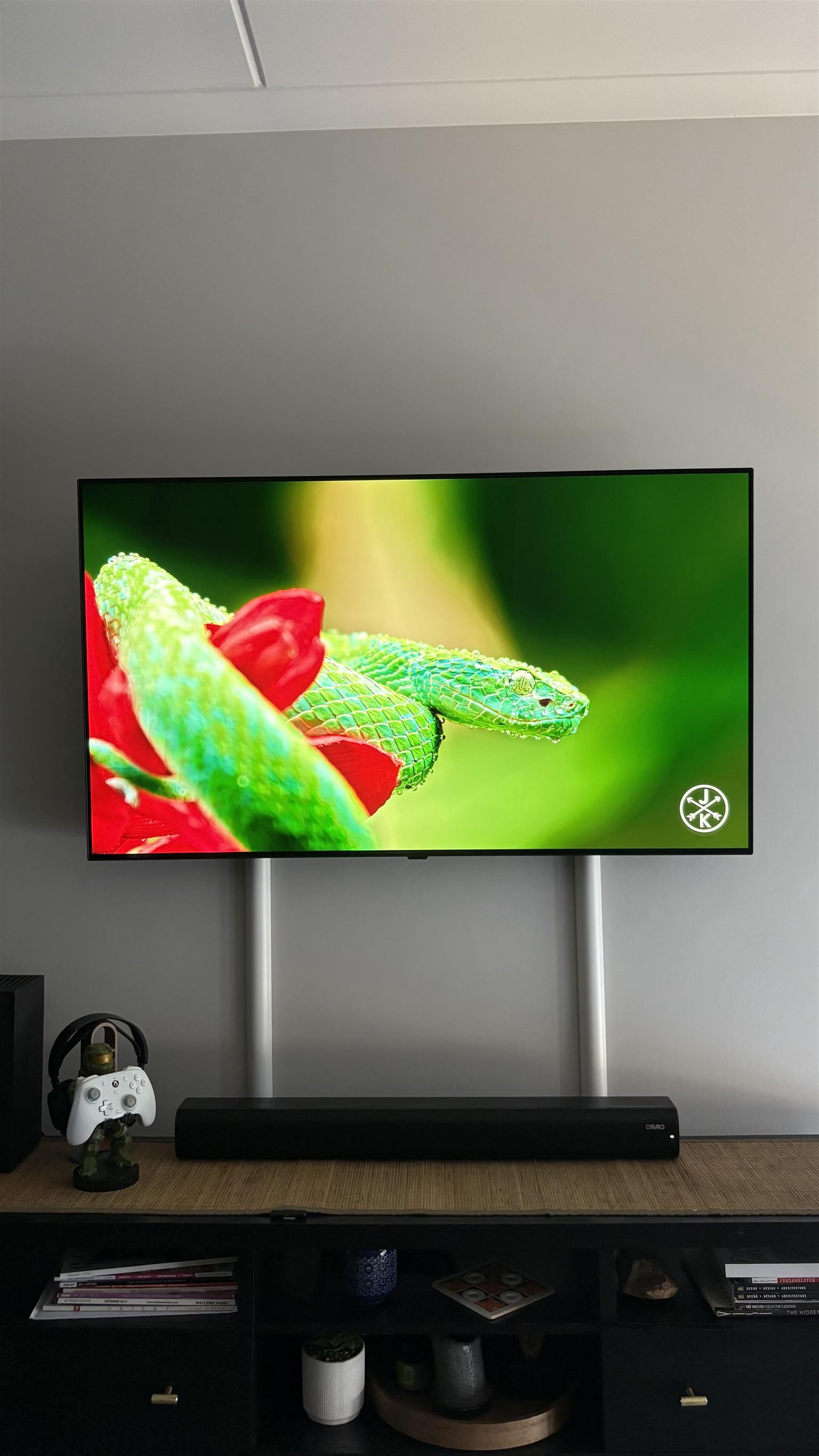 LG OLED CS55