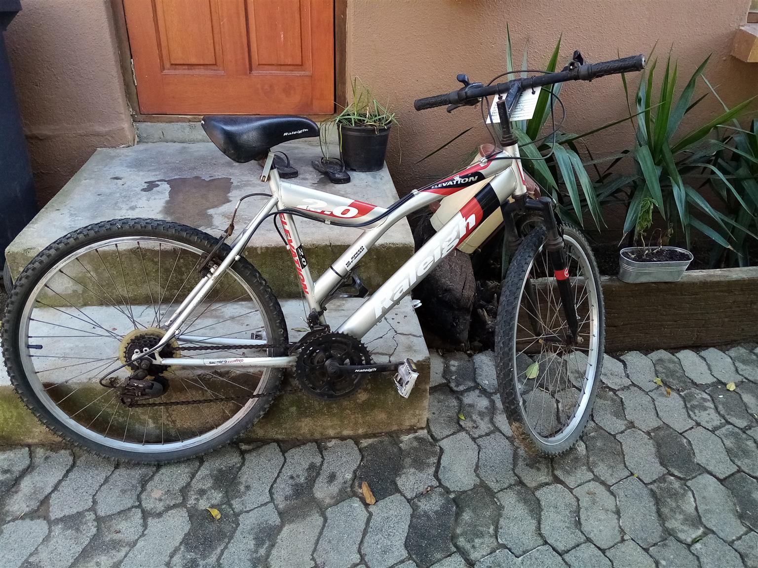 raleigh 2.0 mountain bike