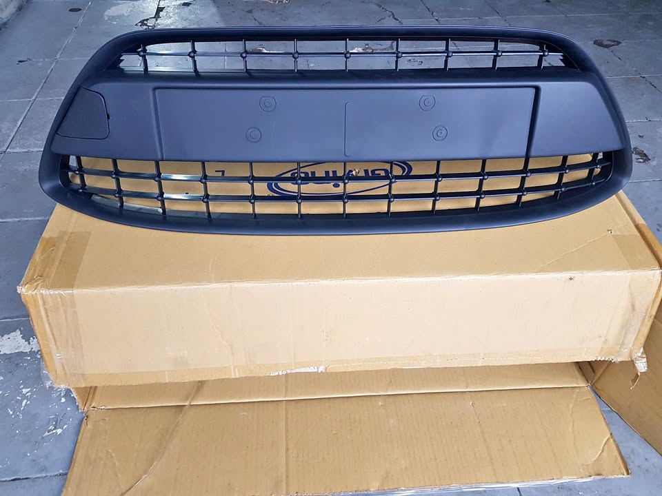 Lower Centre Grill Ford Fiesta 2009! - Private Seller Lower Centre Grill Ford Fiesta 2009! - Private Seller