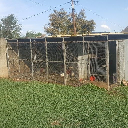 big cage 6mx5m for sale for birds or chicken  is devide up un to 3 cages 