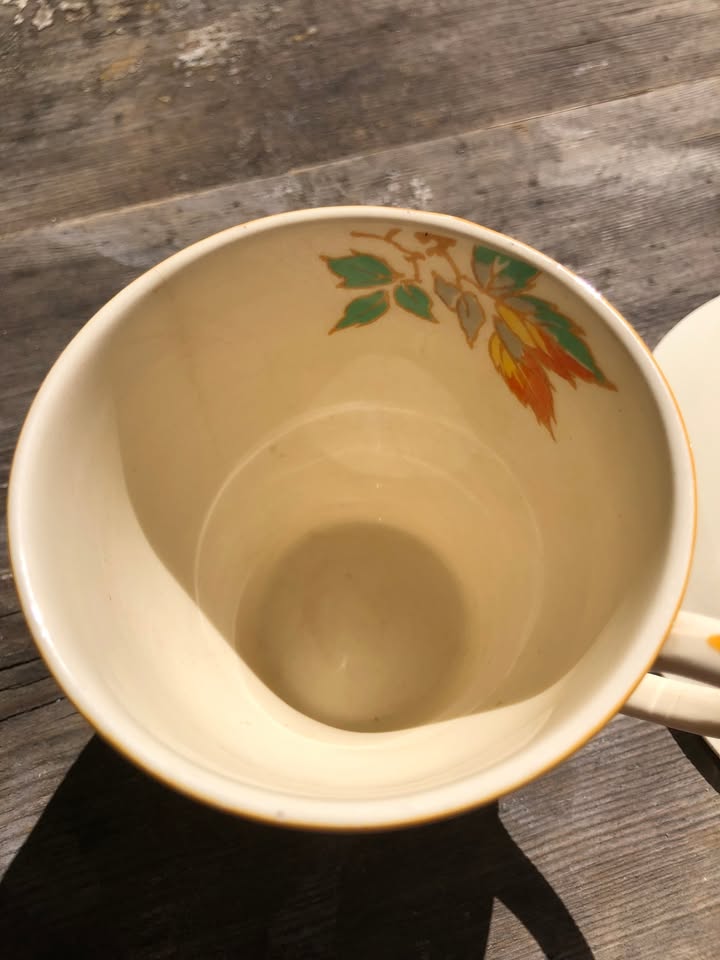 Alfred Meakin “Garrick” 2-Piece Tea Cup & Saucer – Circa 1930s