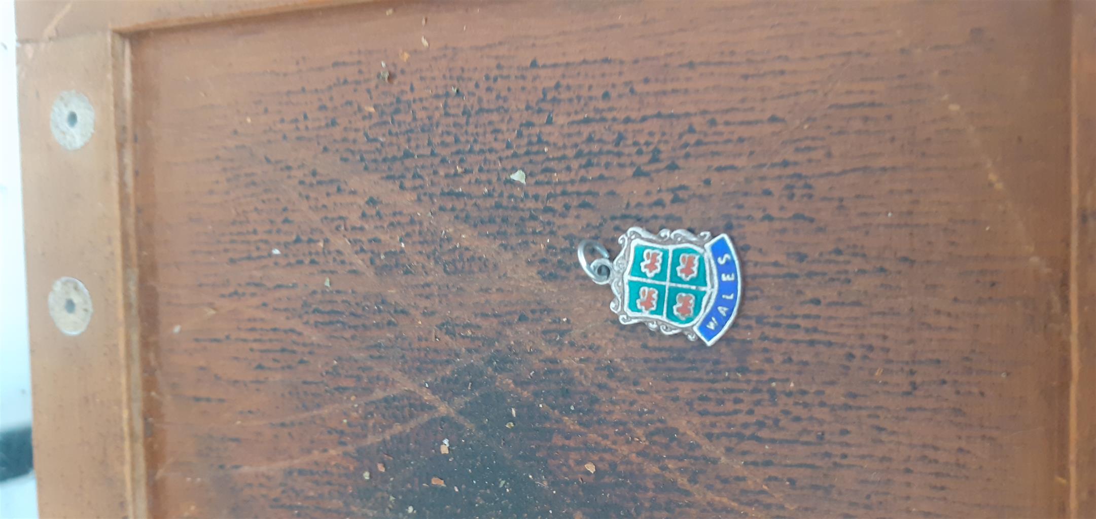 Vintage silver,enamel travel charms