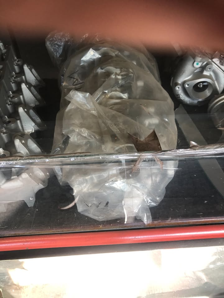 NEW FORD MAZDA WL 2.5 NEW HEAD FOR SALE