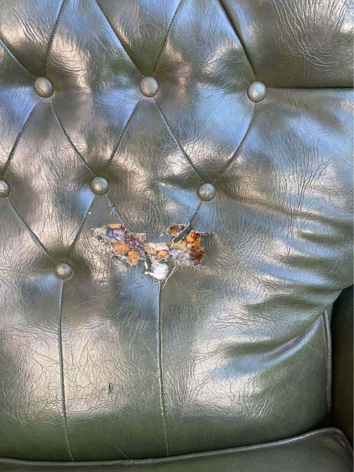 Vintage green recliner chair