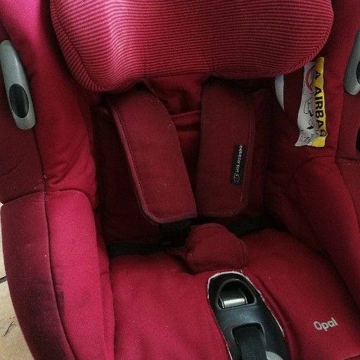 Opal Bebe Confort Therapeutic Car Seat Junk Mail