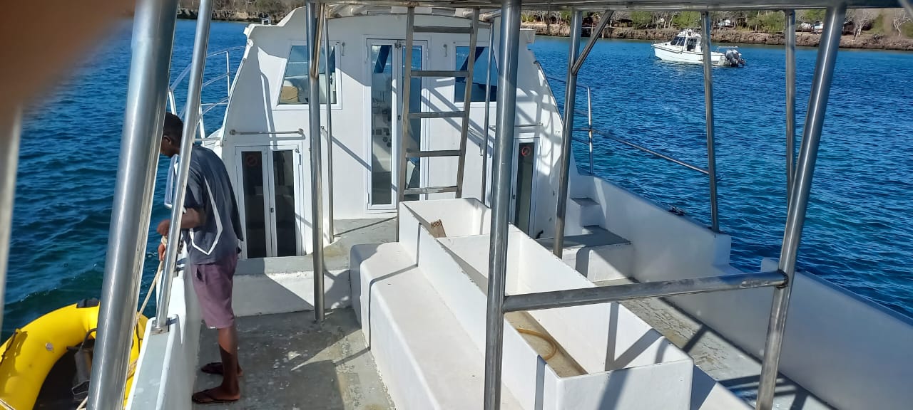 41.5Ft Hysucat