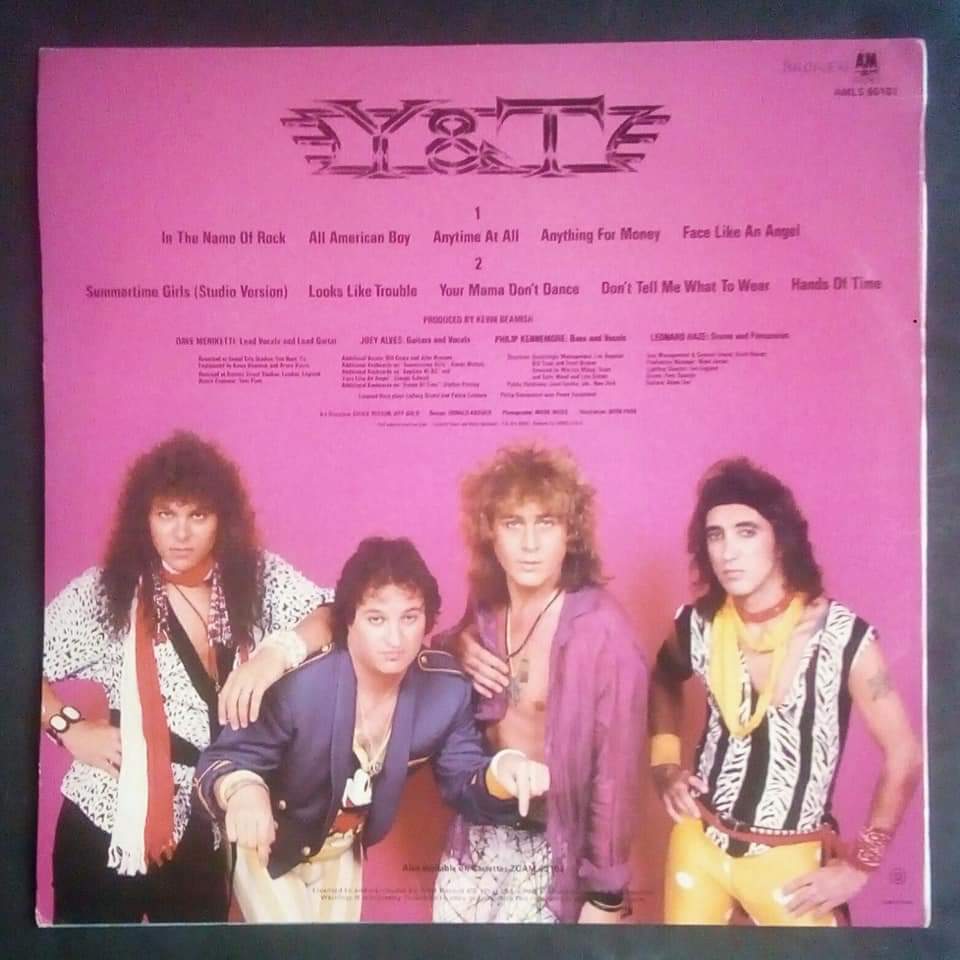 Y&T - Down For The Count LP Record