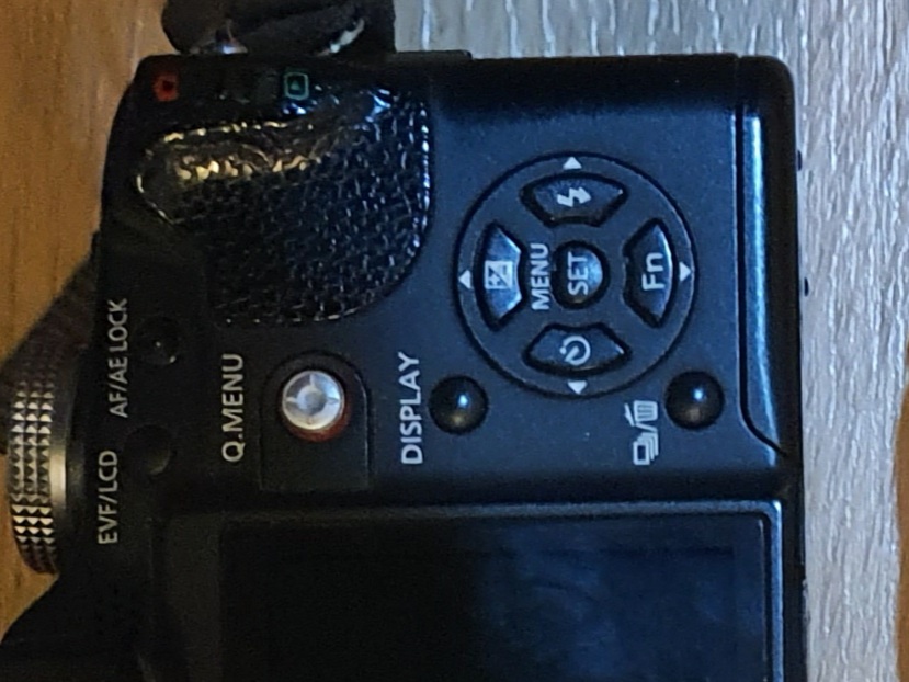 Panasonic Lumix DMC-FZ28 with extra Battry