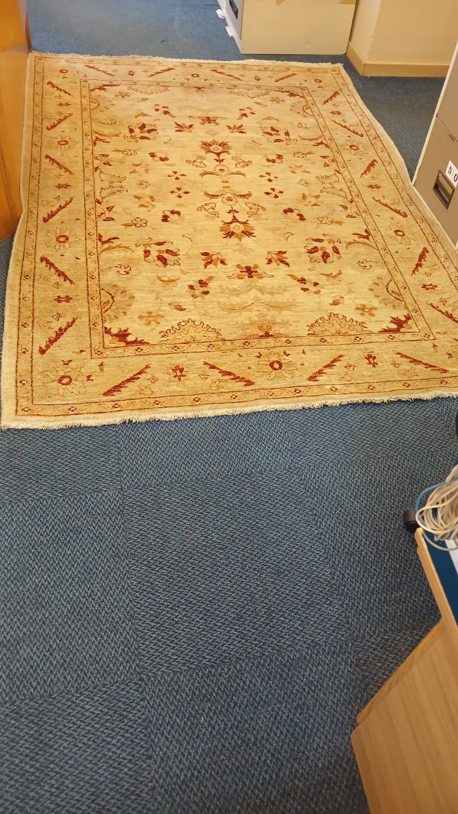 Genuine Hand Knotted Oriental Rugs known as Chobe.