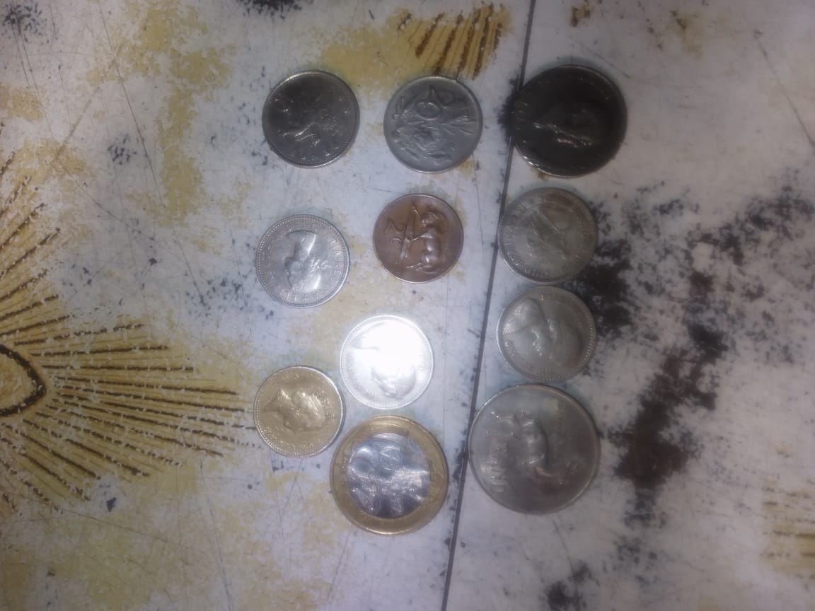 Century Coins