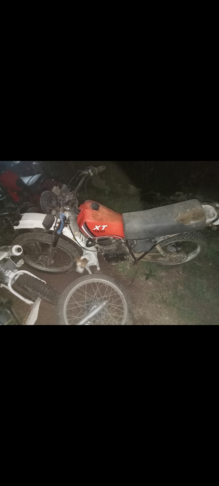 Used Yamaha XT - Private Seller