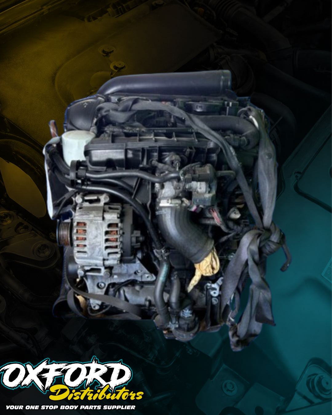 Preloaded Image 3