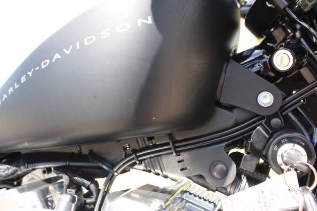 Used 2009 Harley Davidson XL1200 - Private Seller Used 2009 Harley Davidson XL1200 - Private Seller
