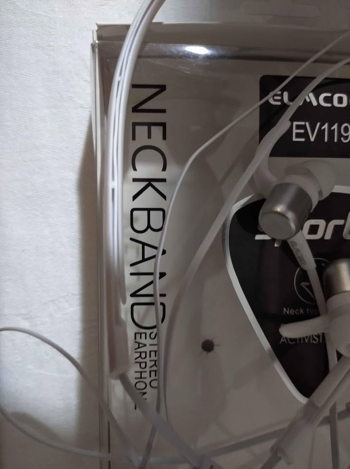 Earphones