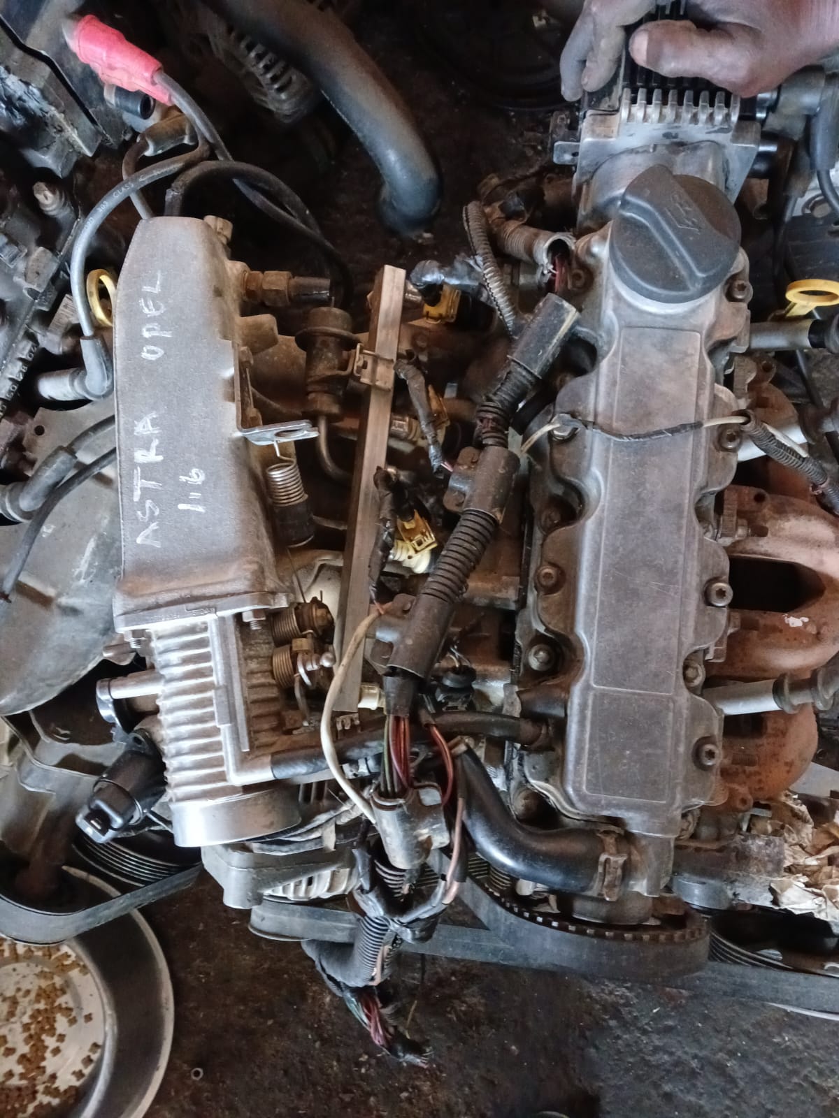 OPEL ASTRA 1.6 1600  F1 FUEL INJECTION ENGINE FOR SALE - Private Seller
