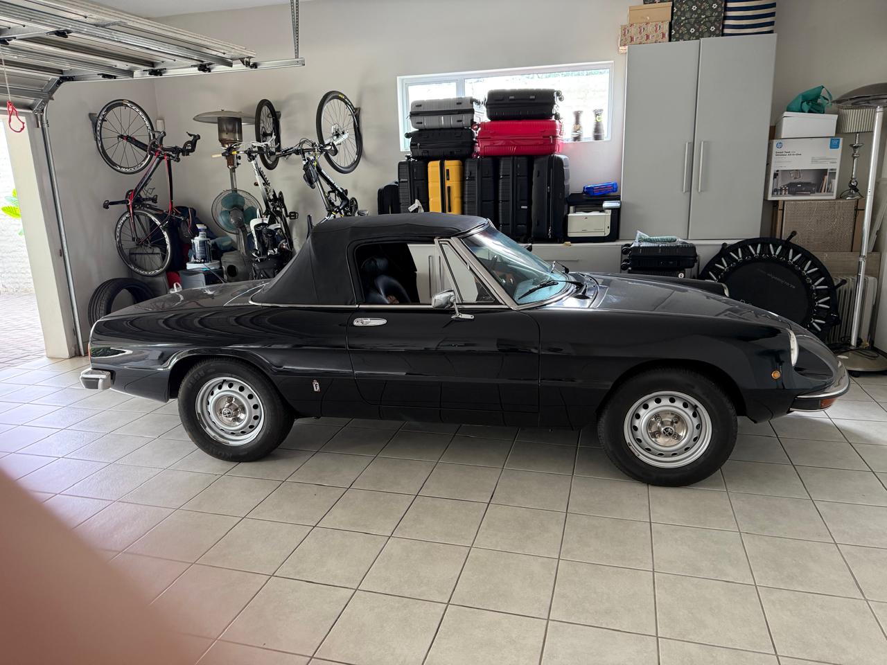 Alfa Romeo Spider LHD