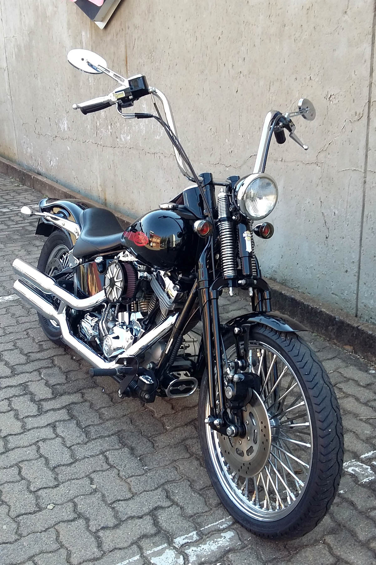 Price Has Been Reduced on this Stunning HD Springer! - Private Seller Price Has Been Reduced on this Stunning HD Springer! - Private Seller