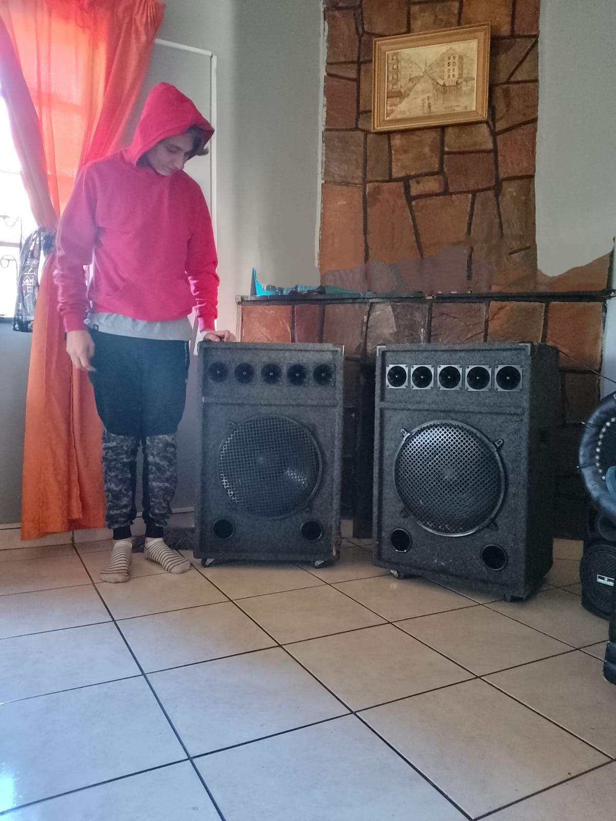 Sakyno 15 inch disco speakers