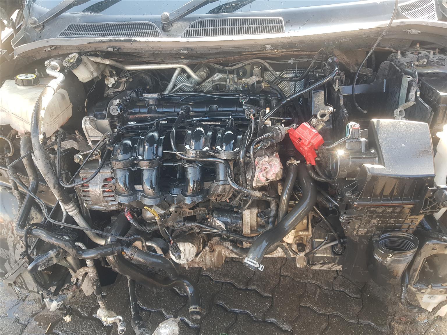 fiesta, echo sport, figo, focus, kuga, bmax, mazda 3 etc. - Private Seller fiesta, echo sport, figo, focus, kuga, bmax, mazda 3 etc. - Private Seller