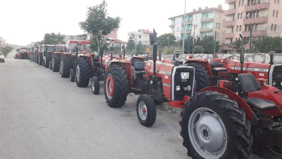 Assorted Used Massey Ferguson tractors for sale 