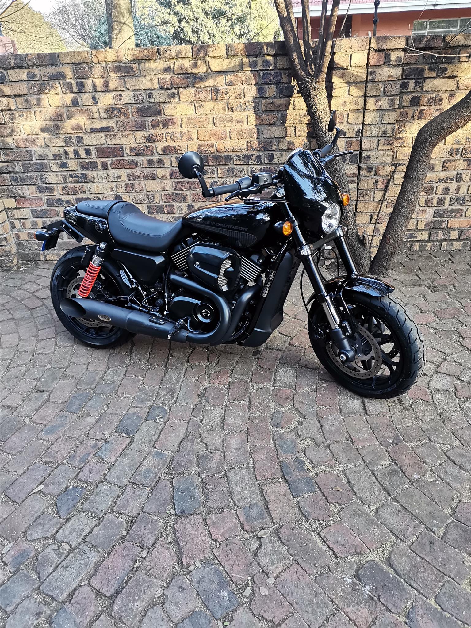 2020 Harley Street 750. Tags- Yamaha r1 883 Suzuki gsx Honda cbr 1000 Ducati