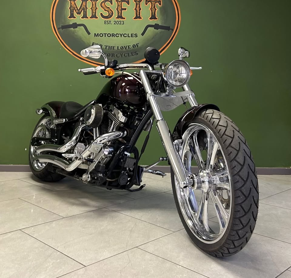 2010 Harley Davidson  Thunder Mountain Custom Sportster 1200 - Private Seller