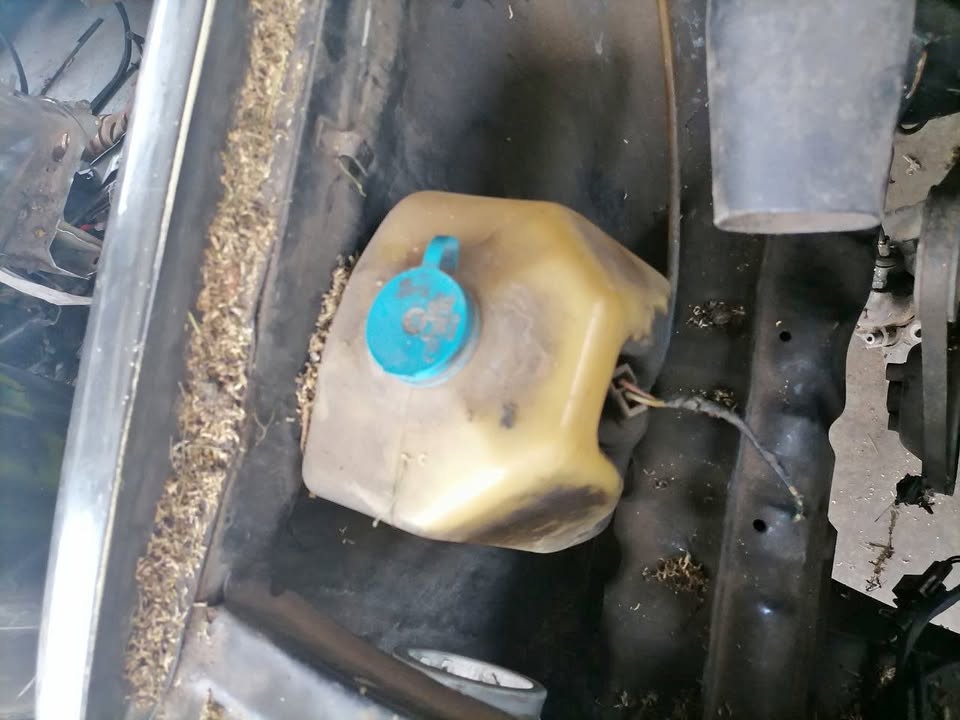 VOLKSWAGEN GOLF 1 WATER BOTTLE - Private Seller VOLKSWAGEN GOLF 1 WATER BOTTLE - Private Seller