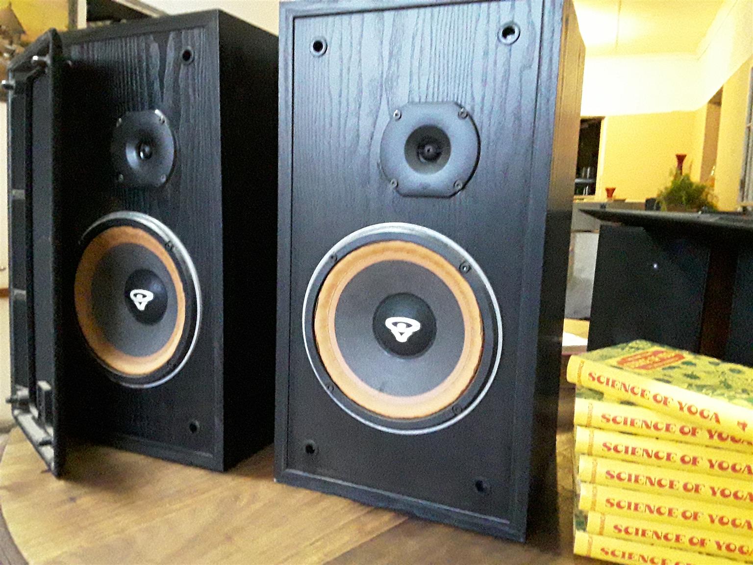 Cerwin Vega Speakers