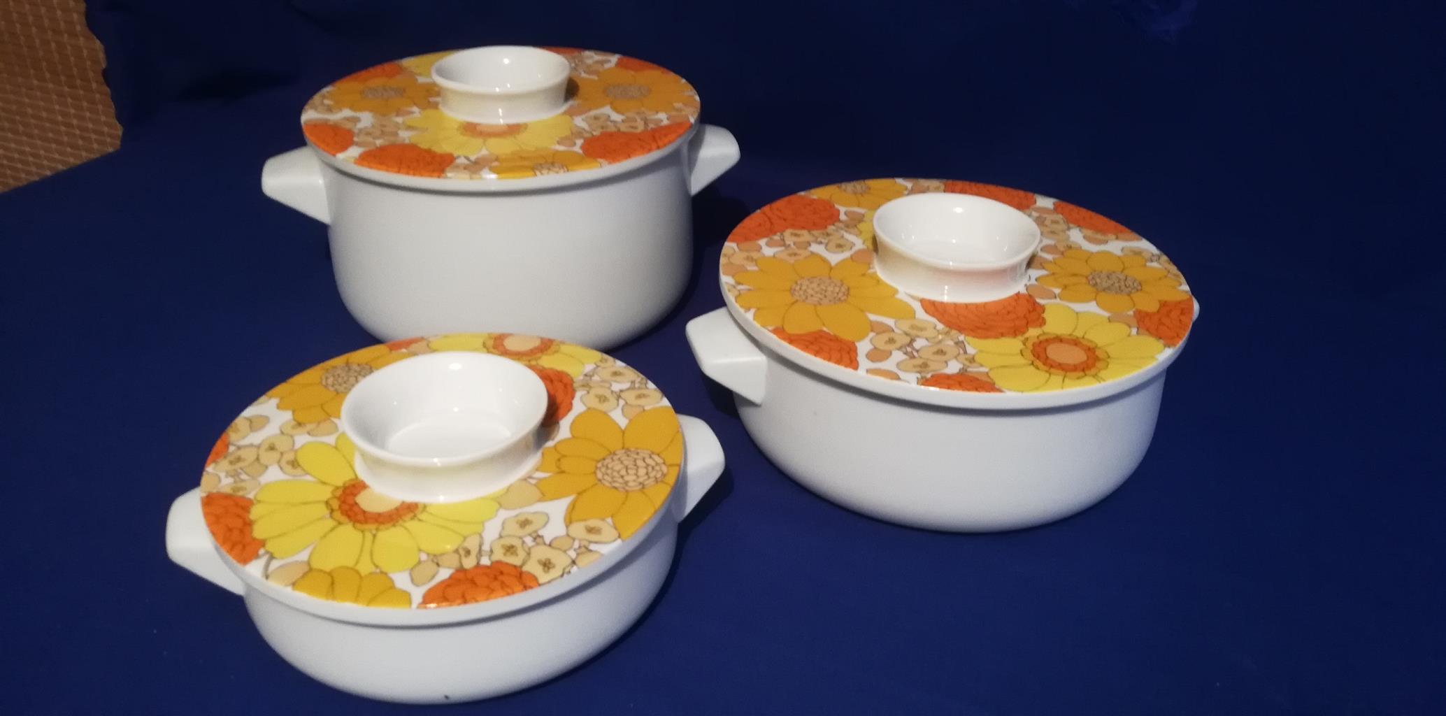 Vintage Suisse Langenthal Dinner Tea and Coffee Service