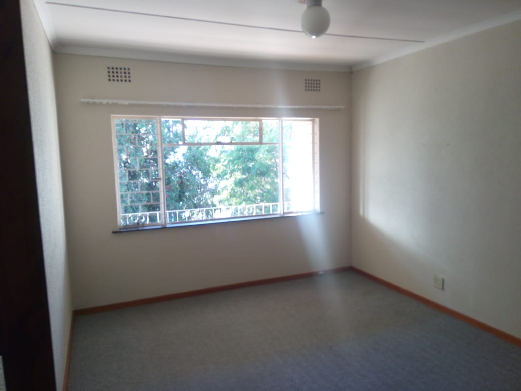 SUNNY SPACIOUS ONE BEDROOM APARTMENT