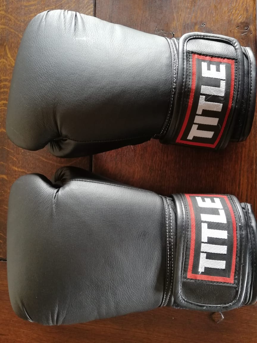 title sparring gloves