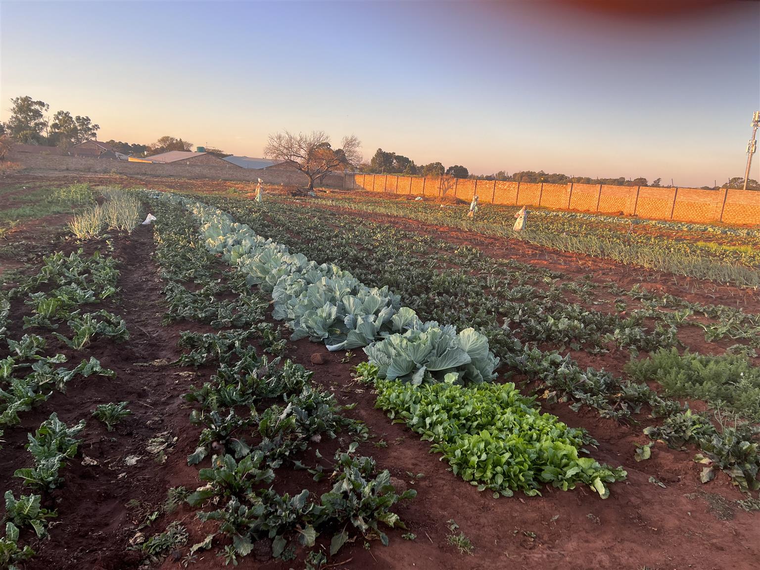 Farm Rent Farm for Rent in Tarlton | Junk Mail Marketplace
