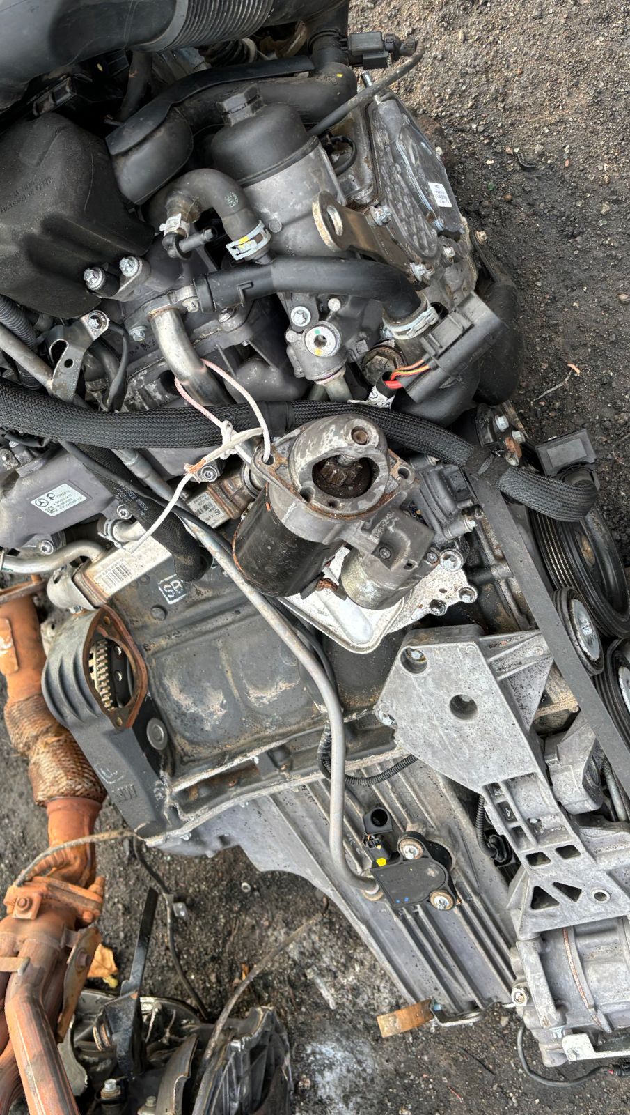 Mercedes-BENZ B200 CDI W245 2010 #640941 Engine - Private Seller