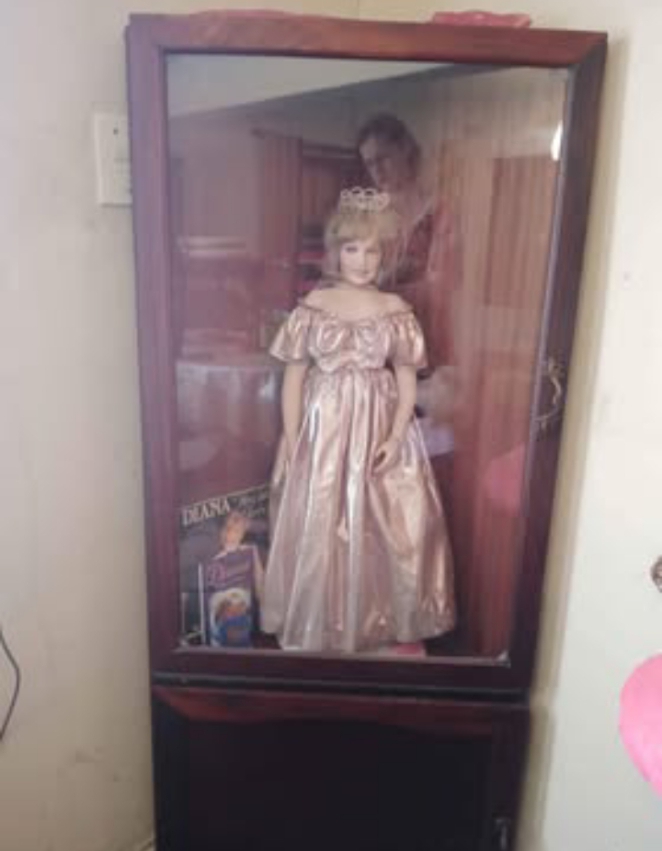 Princess Diana porcelain doll with its view case for sale