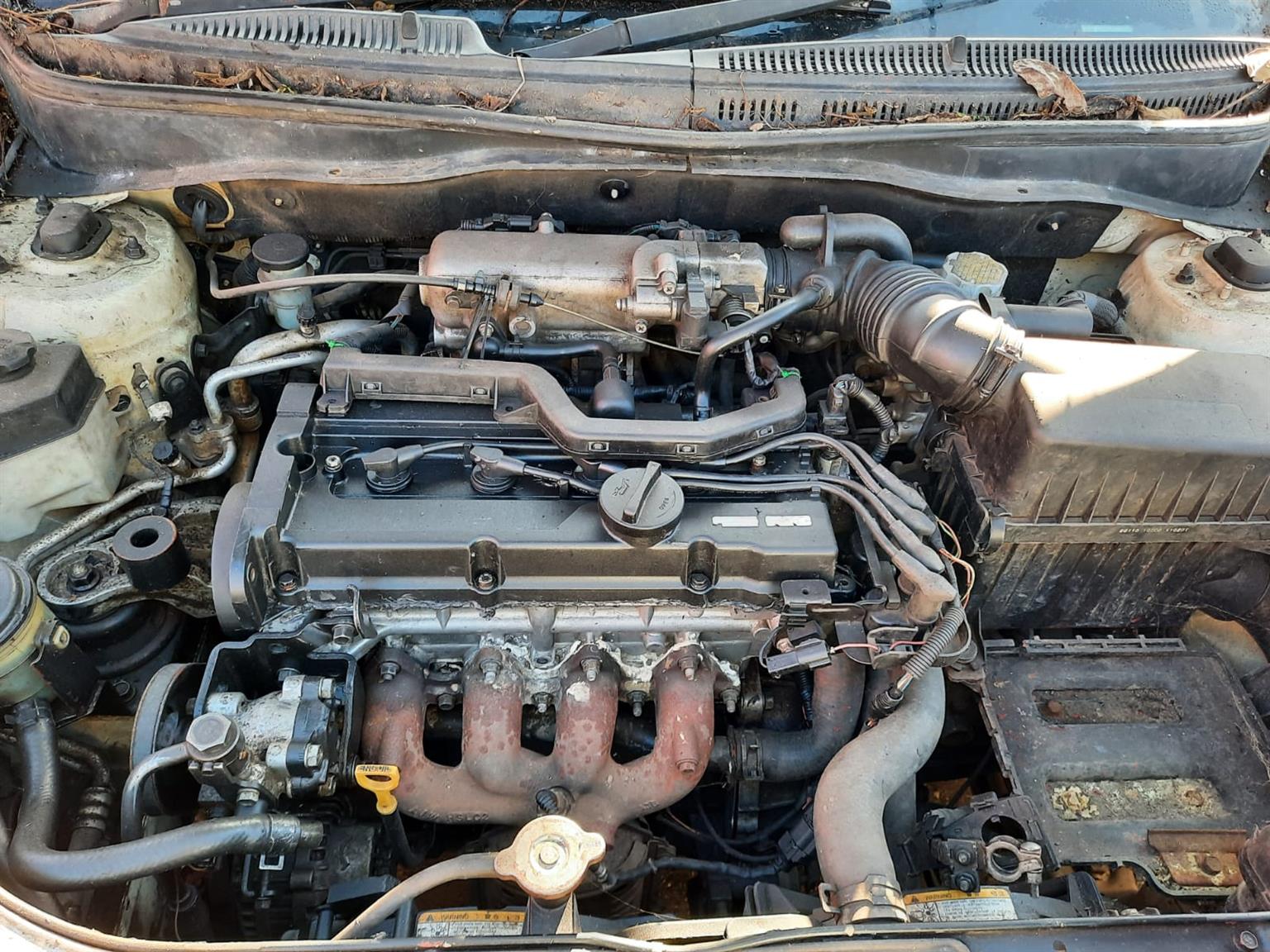 2006 Kia Rio 1.4 - Stripping for Spares