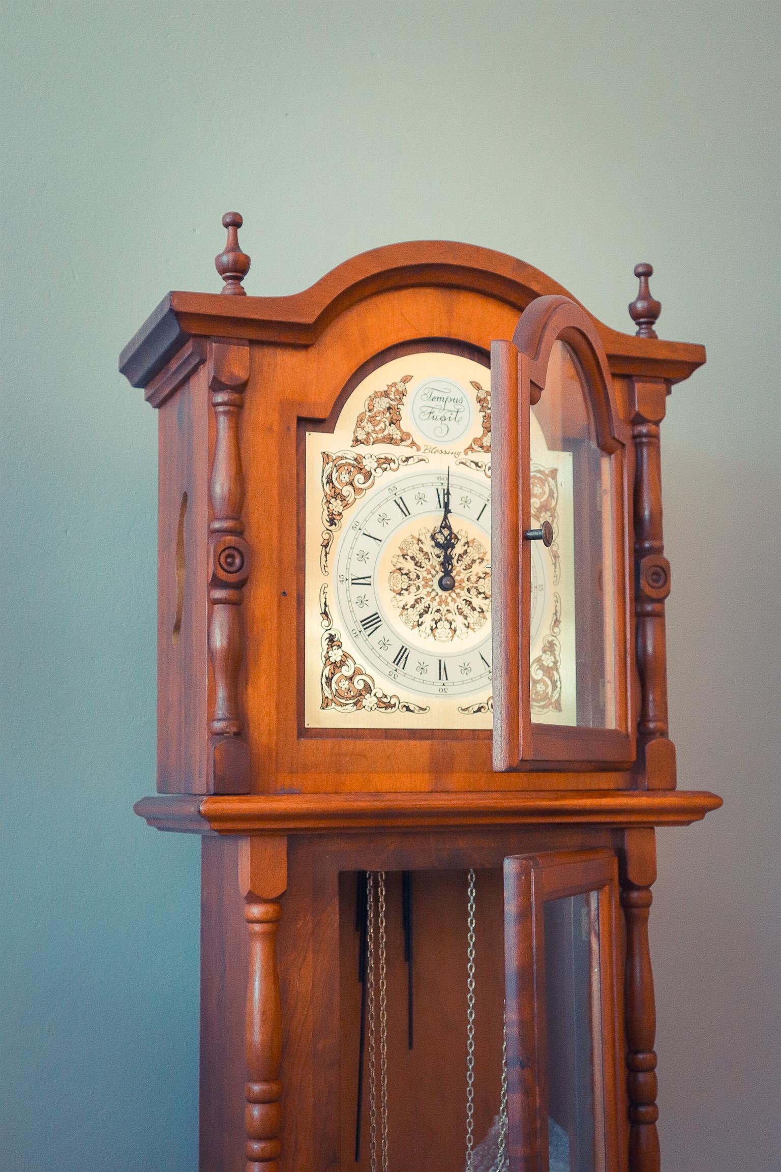 Tempus Fugit Clock | Junk Mail