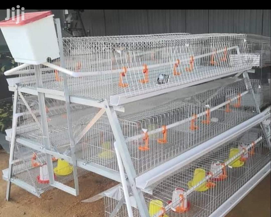 360 Bird Egg Laying Cage