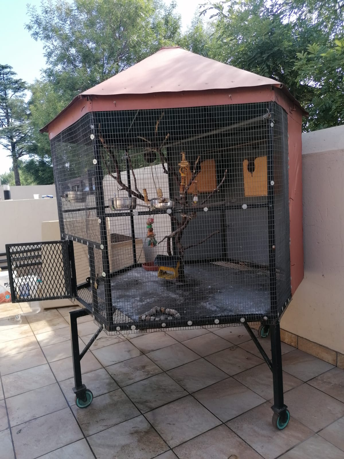 Big bird cage 