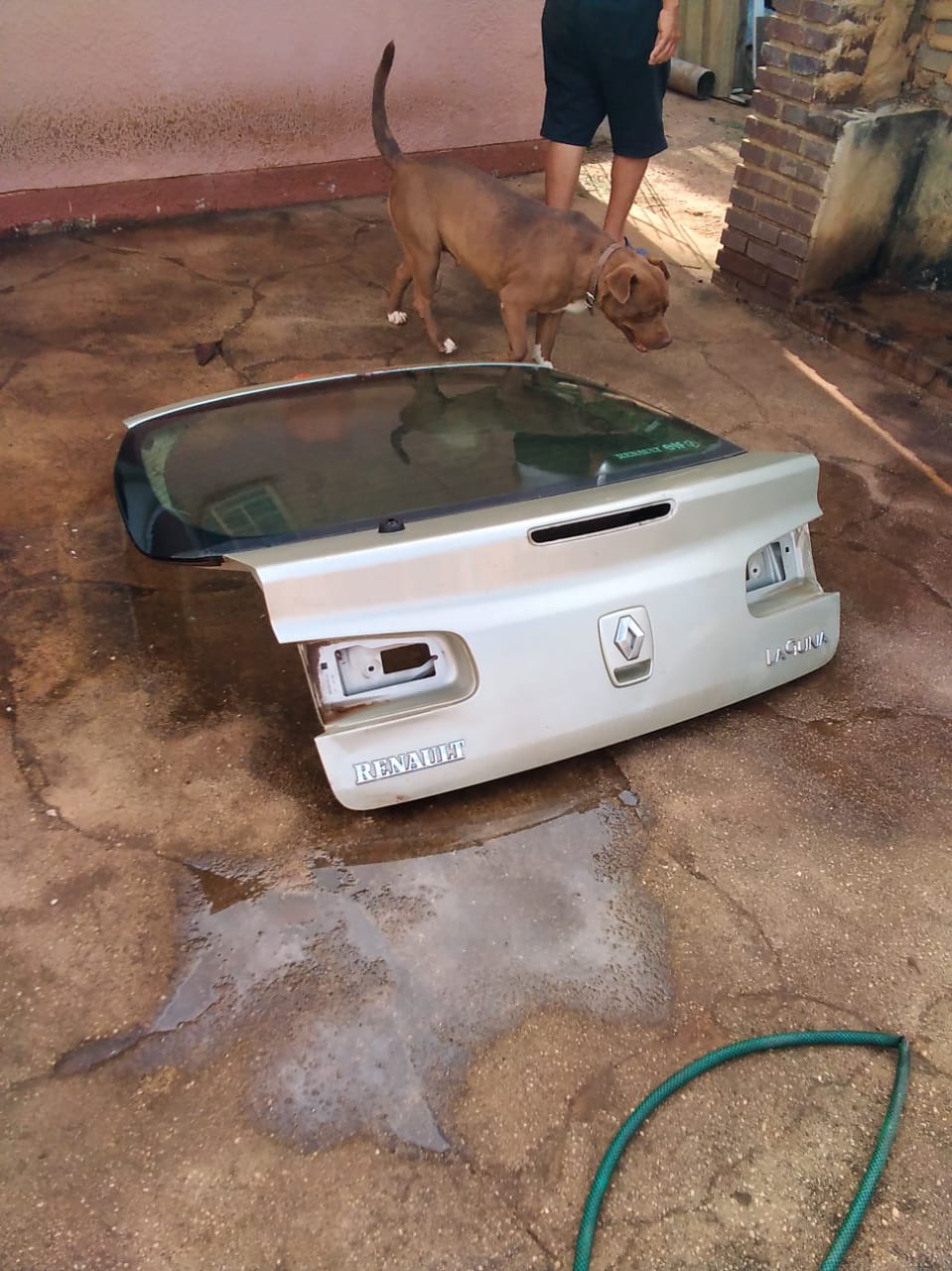 Body Renault Laguna 2001-2.0L parts - Private Seller Body Renault Laguna 2001-2.0L parts - Private Seller