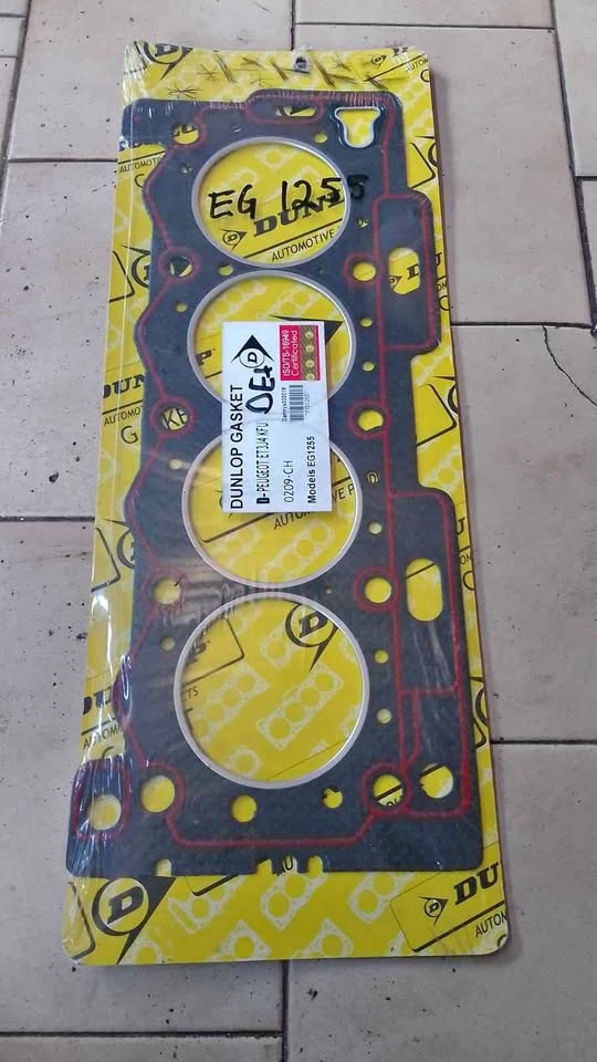 EG 1255 gasket