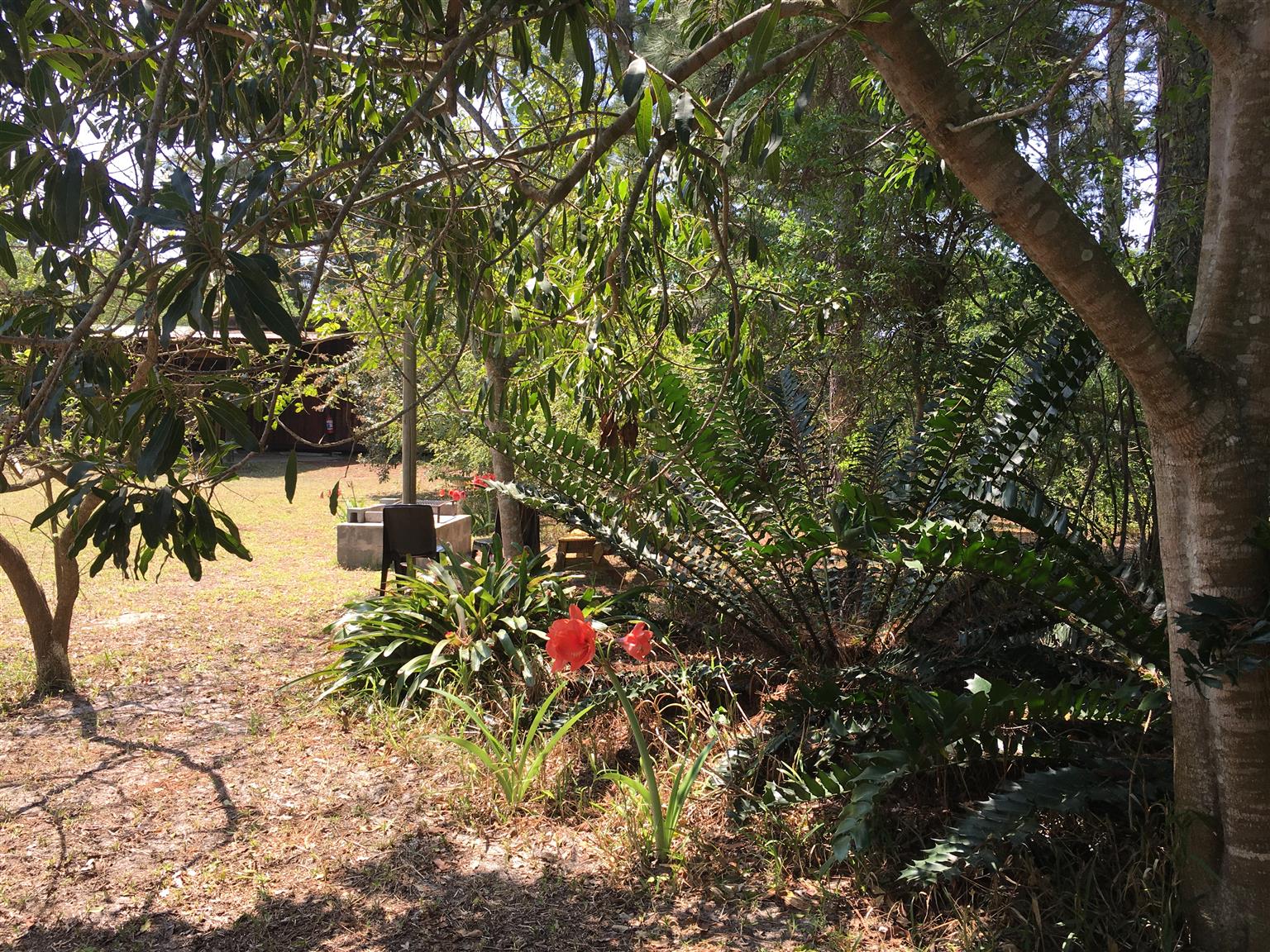 House for sale in Sodwana Bay Junk Mail