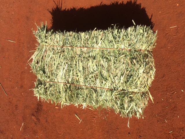 Photo inspiration: Visual Reference: Oat Hay Square Bales For Sale Teff Square Bales B