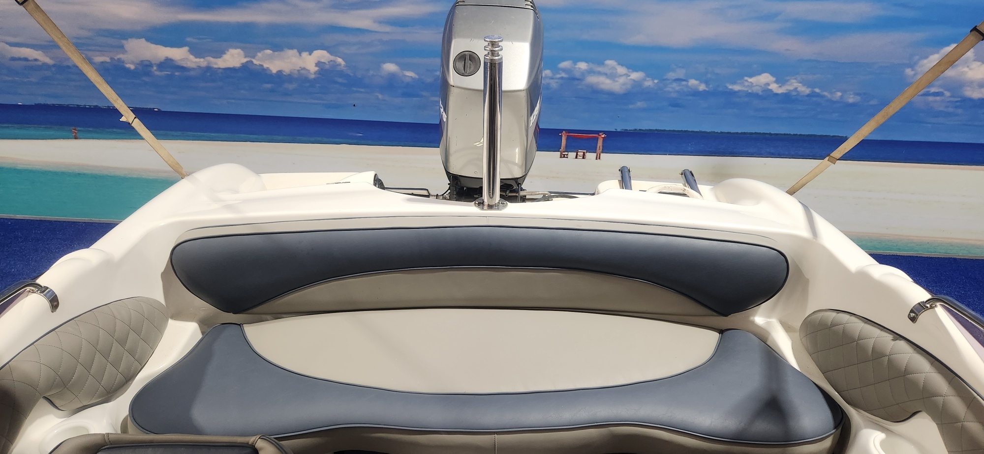 VIKING VELOCITY 16 FT ON TRAILER 125 HP MARINER TRIM AND TILT