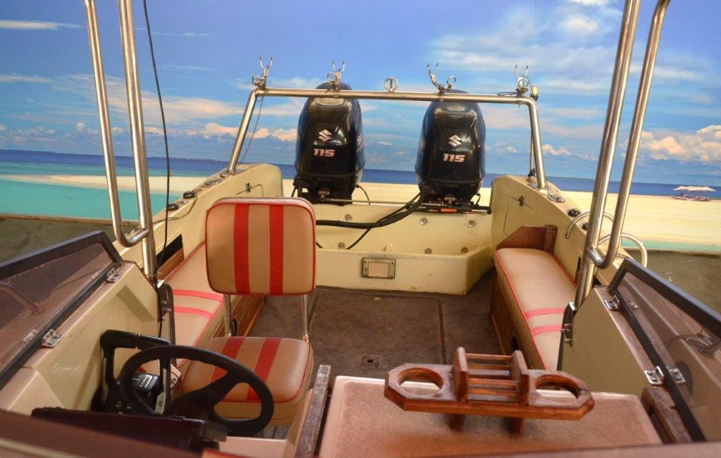 ACECRAFT 660 ON TRAILER 2 X 115 HP SUZUKI 4 STROKES