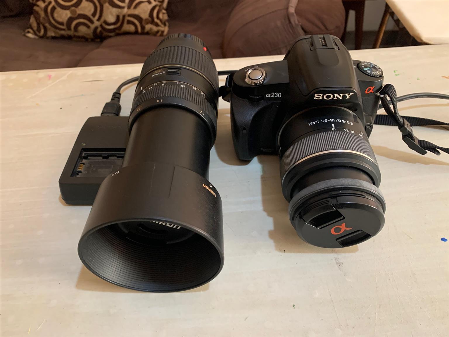 Sony Alpha 230 + 18-55 macro zoom lens + Tamron 70-300 Macro zoom lens