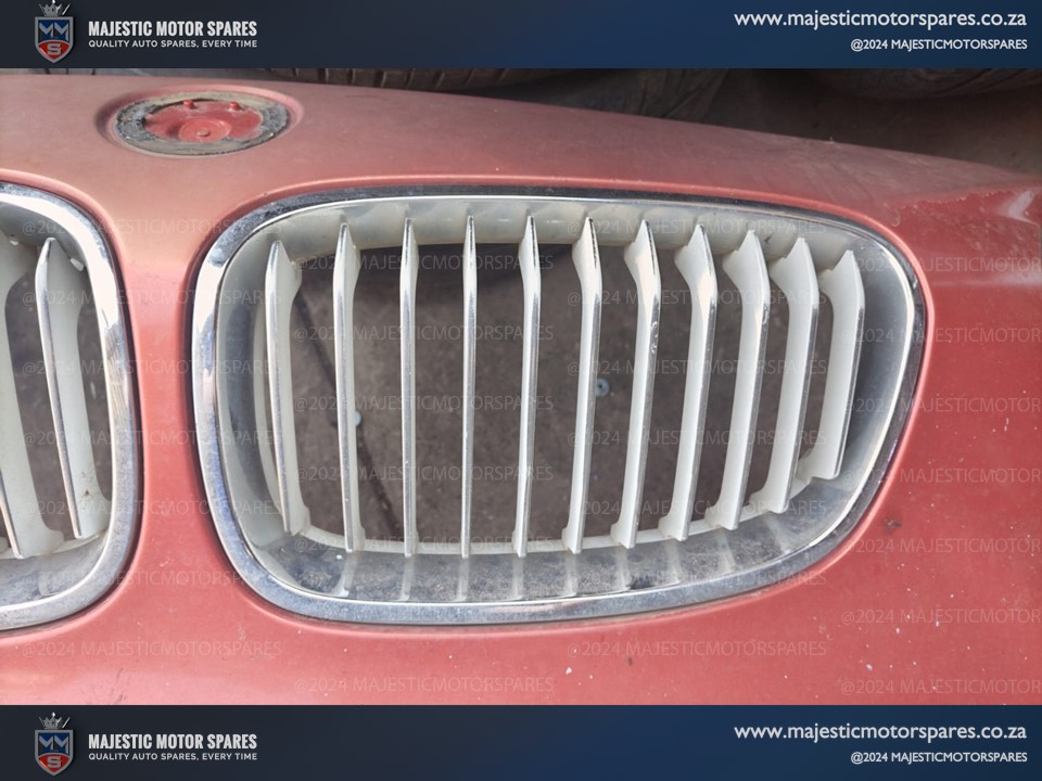 Second-Hand BMW 118i Kidney Grills for Sale - Private Seller Second-Hand BMW 118i Kidney Grills for Sale - Private Seller