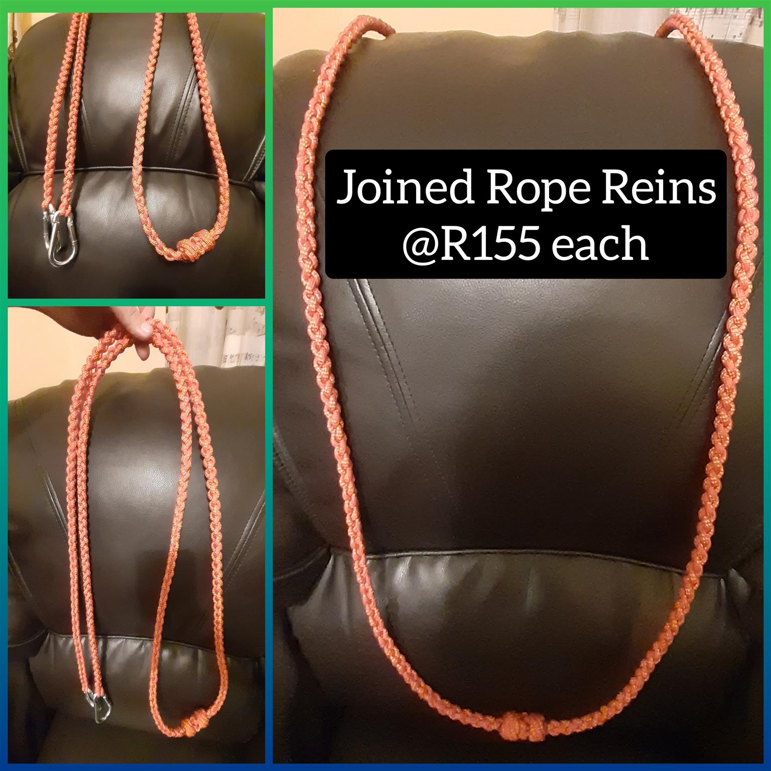 Rope Halters with Leadrope